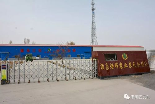 当三大支柱产业,三大特色产业遇上"三变"改革,肃州这个镇"开挂"了